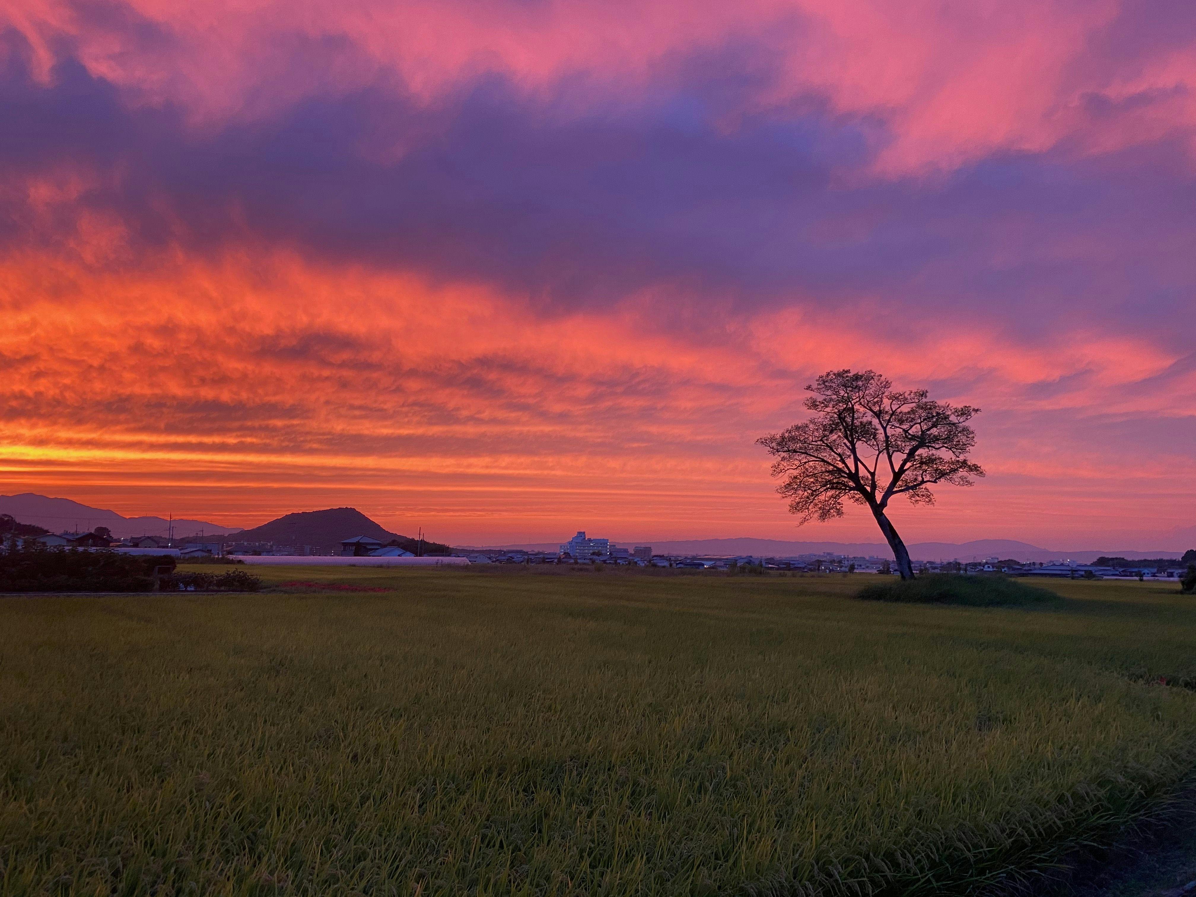 ซากปรักหักพังพระราชวังโบราณ (ฤดูใบไม้ร่วง)