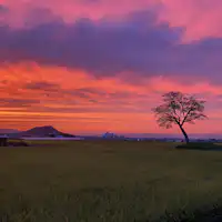 ซากปรักหักพังพระราชวังโบราณ (ฤดูใบไม้ร่วง)