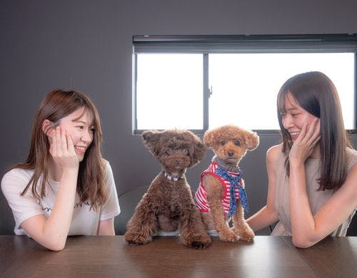 わんちゃんと一緒