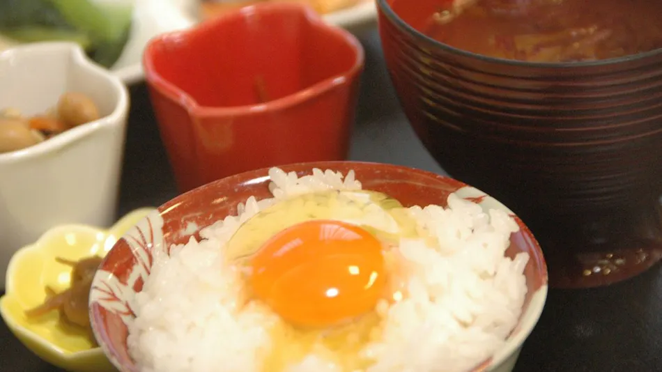 Akita Art Village Onsen Yuppopo