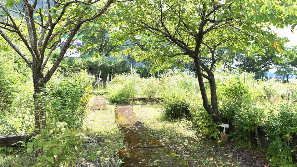 Kawaguchiko Onsen Hotel Korin