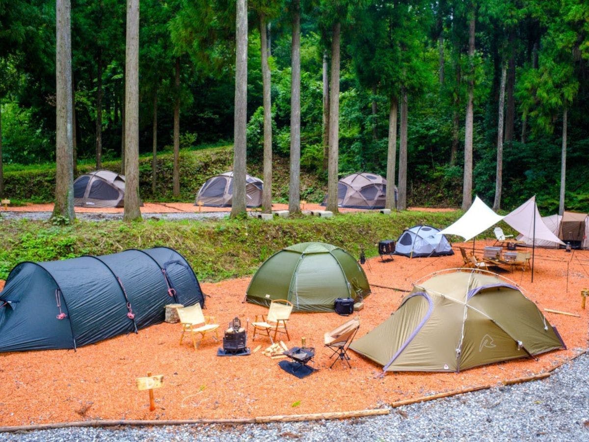 Lupo no Mori