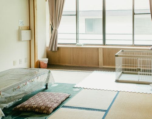 和室8畳(ペット可能部屋)