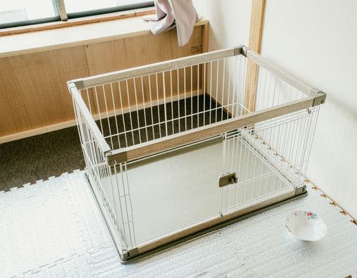 和室8畳(ペット可能部屋)