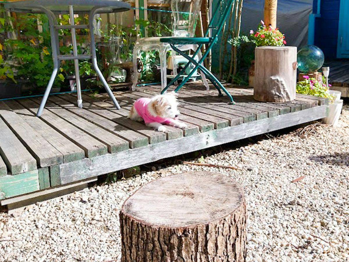 Starry Encounter Inn ~ Forest Cottage Kesennuma