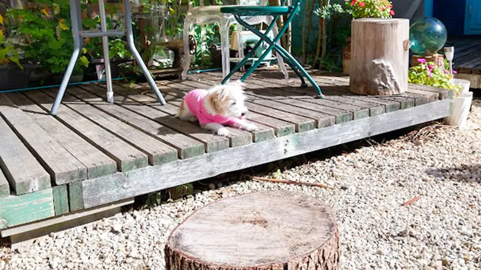 Starry Encounter Inn ~ Forest Cottage Kesennuma