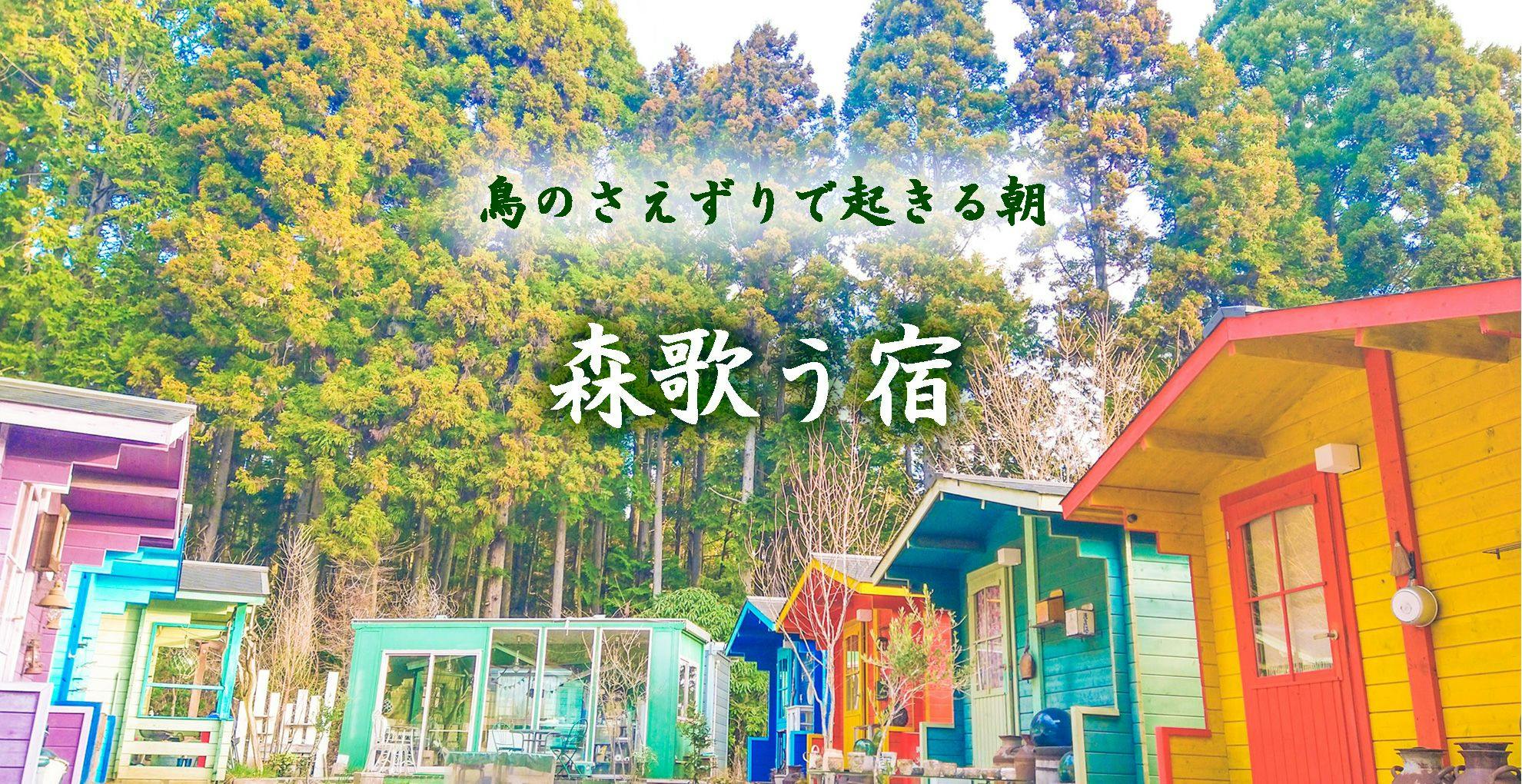 เสียงนกร้อง เสียงแมลง เสียงน้ำไหล