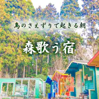 เสียงนกร้อง เสียงแมลง เสียงน้ำไหล