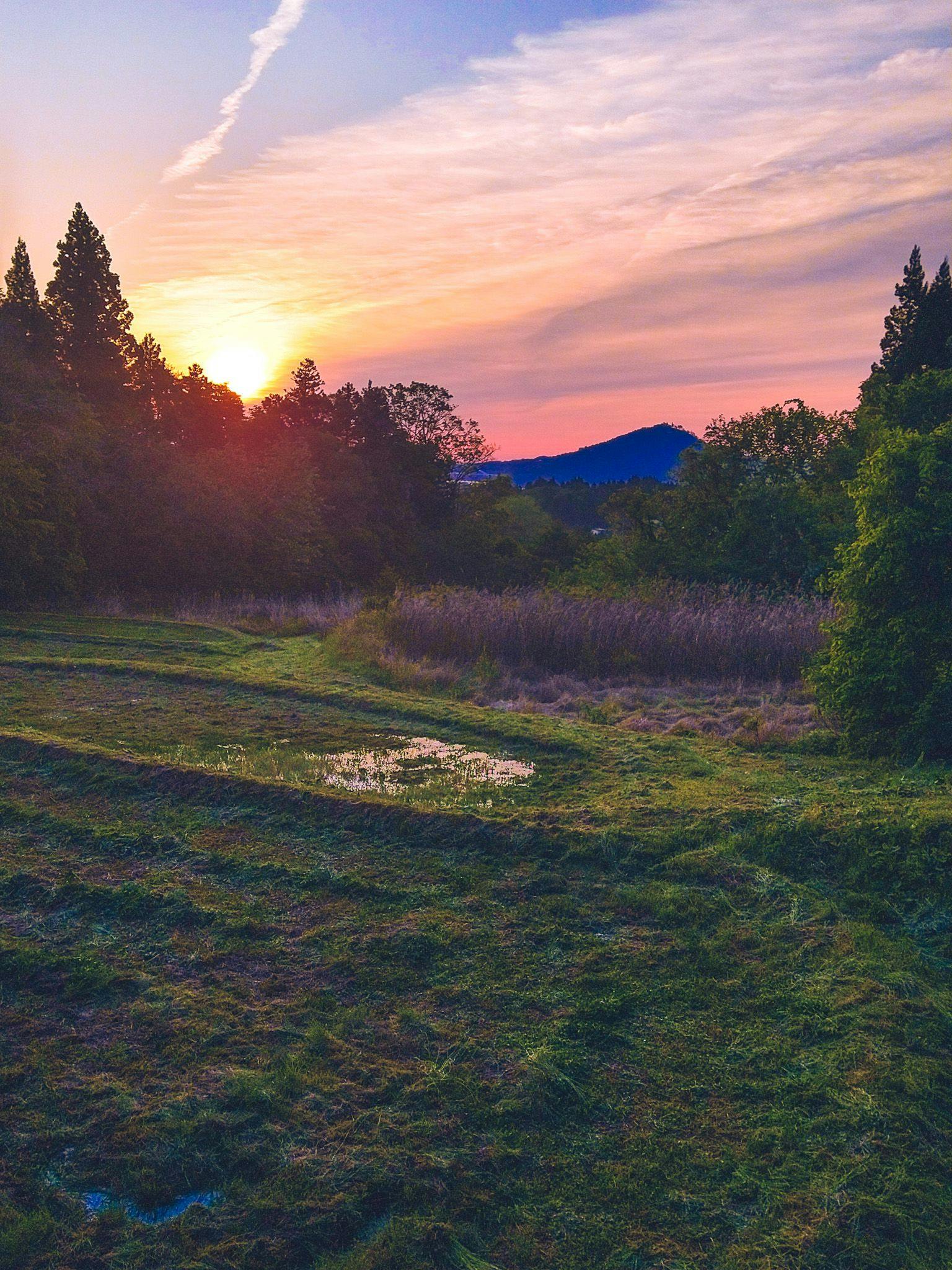 มองเห็นเกาะโอชิมะและภูเขาคาเมะยามะจากป่าหลังคอทเทจ