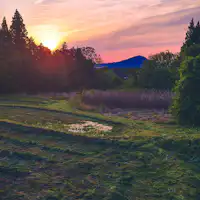 มองเห็นเกาะโอชิมะและภูเขาคาเมะยามะจากป่าหลังคอทเทจ