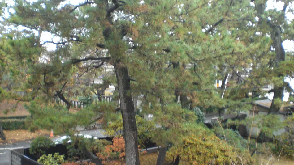 Minato Oasis Numazu