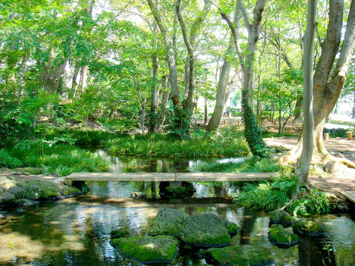 白泷公园