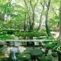 白泷公园