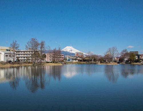 中郷温水池公園