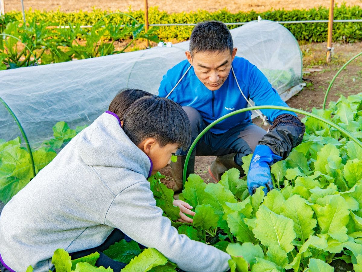 【Pengalaman Memanen Sayuran Musiman】