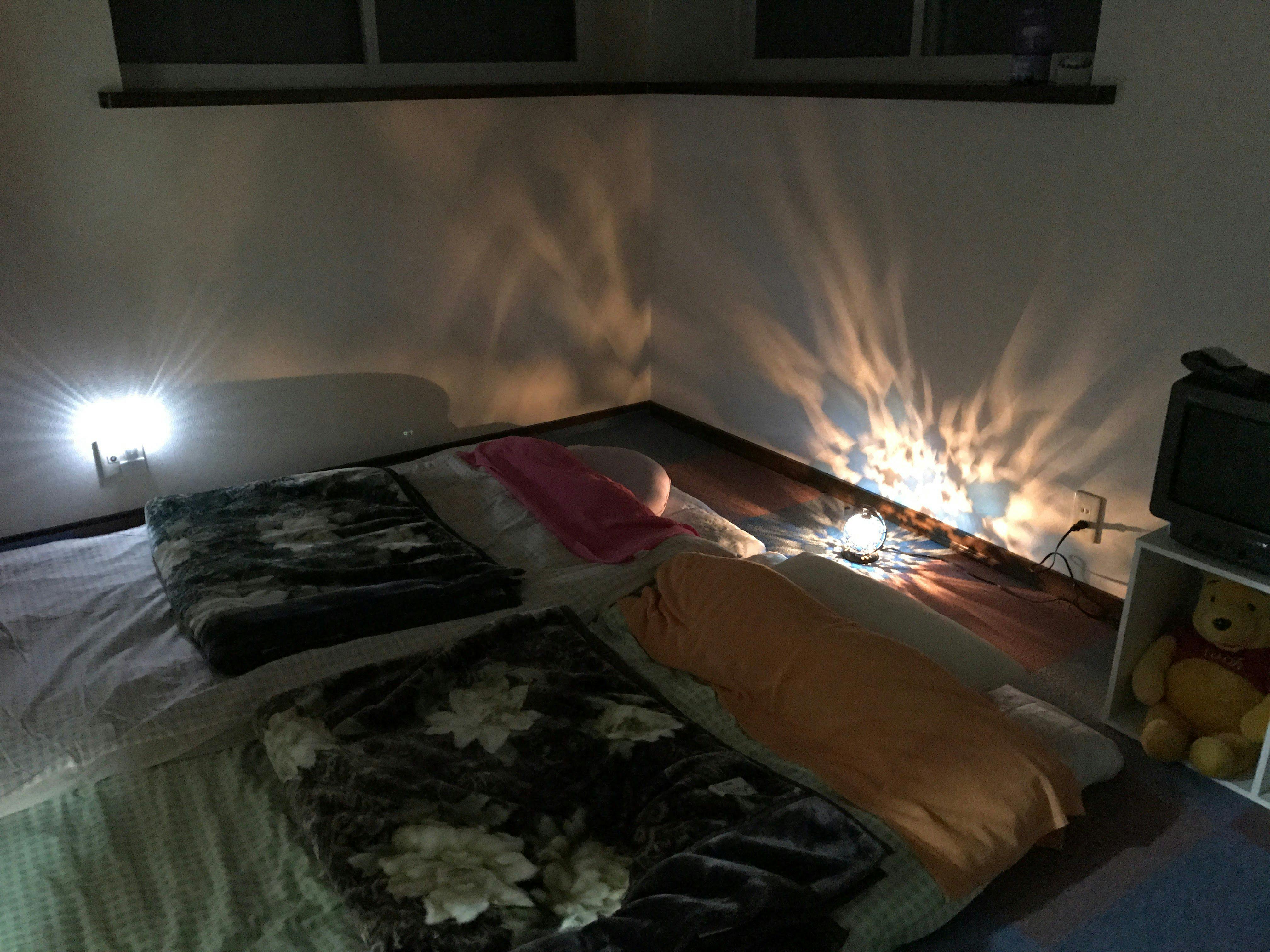 Cat-filled Guesthouse the Misato Kinen Kan