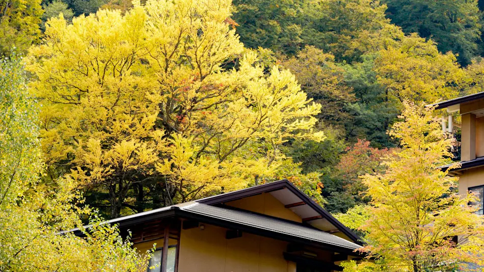 Nakanoyu Onsen Ryokan