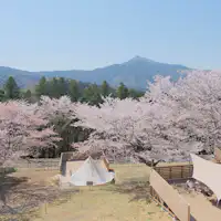 Glamping Sakura