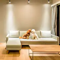 ห้องพักที่อนุญาตให้นำสัตว์เลี้ยงเข้าพัก