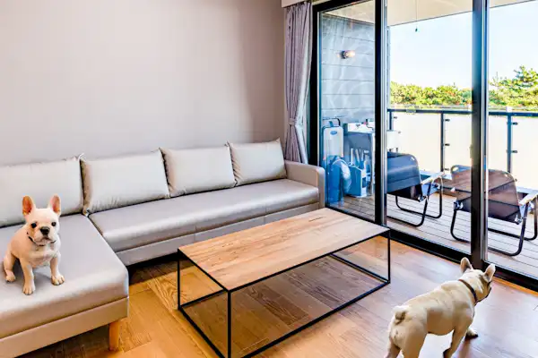 ห้องพักที่อนุญาตให้นำสัตว์เลี้ยงเข้าพัก