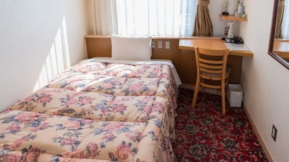 Daily Hotel Mizuhodai