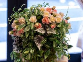 デイリーホテルみずほ台店