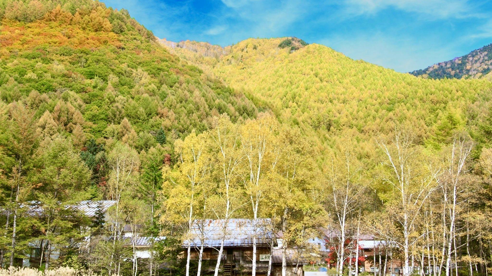 해발 1500미터의 별천지