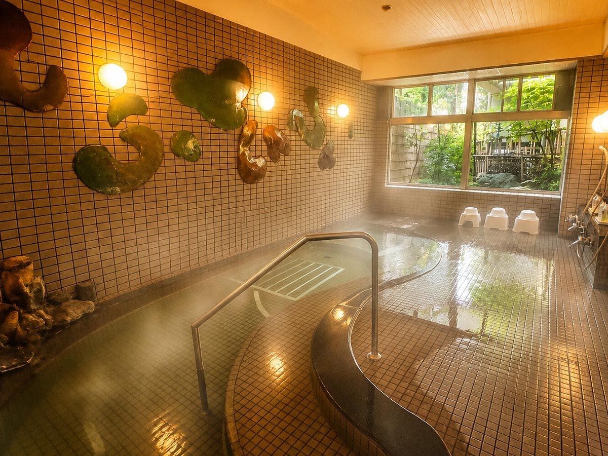 Showa Healing Inn Ryokukaen