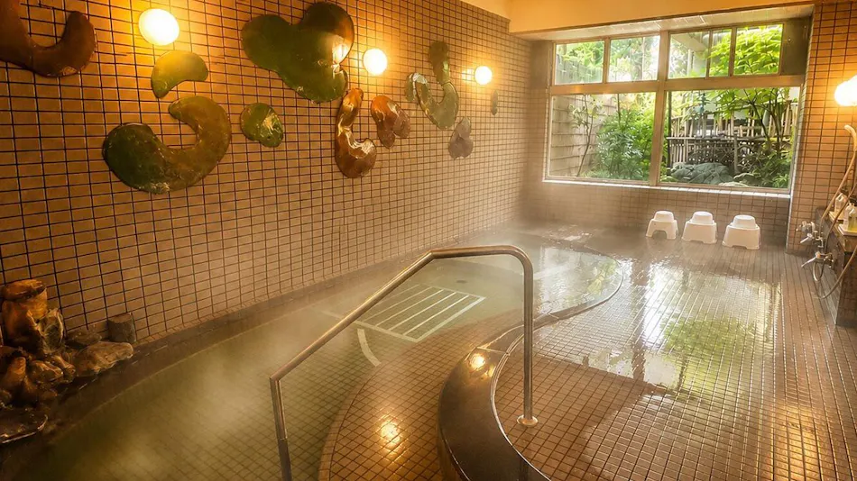 Showa Healing Inn Ryokukaen