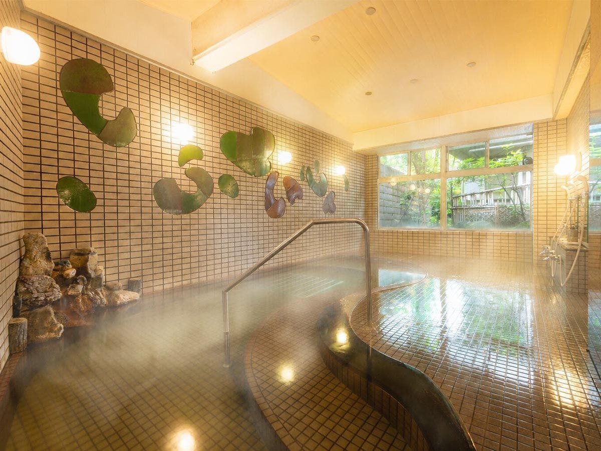 Showa Healing Inn Ryokukaen