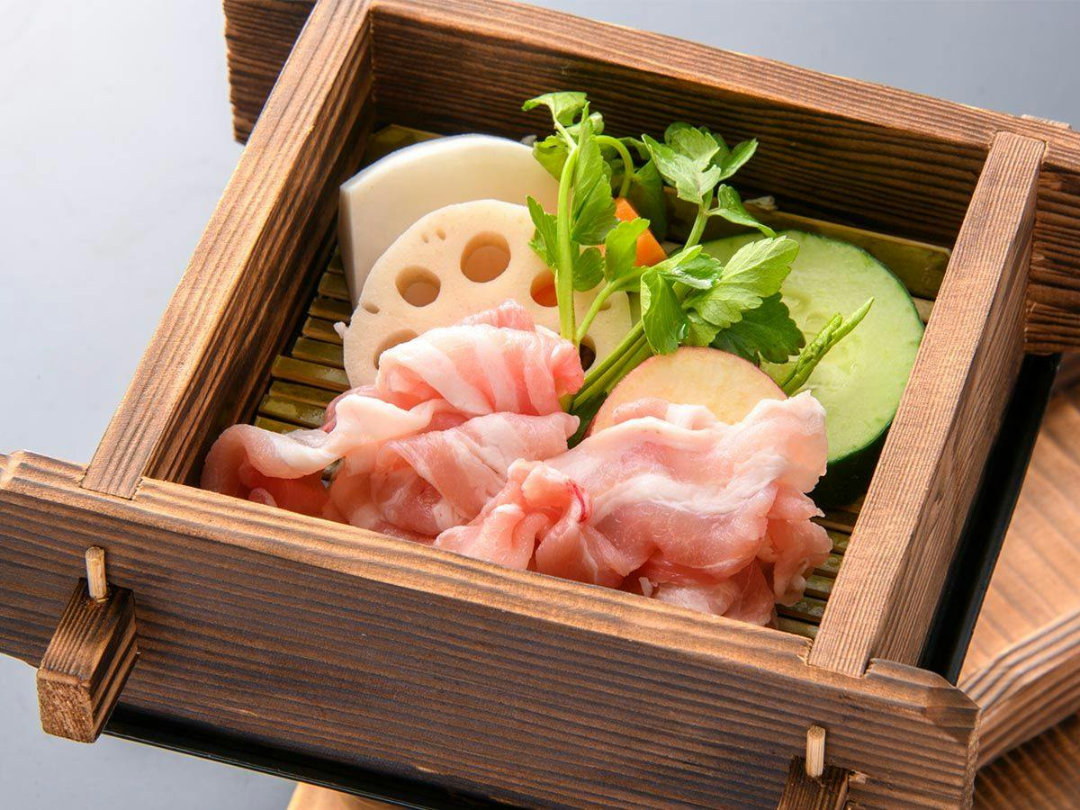 Showa Healing Inn Ryokukaen