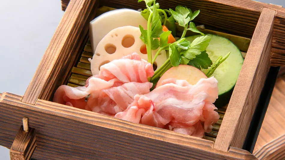 Showa Healing Inn Ryokukaen