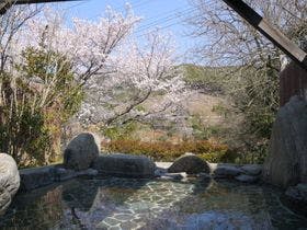 旅館・家族湯 いまむら