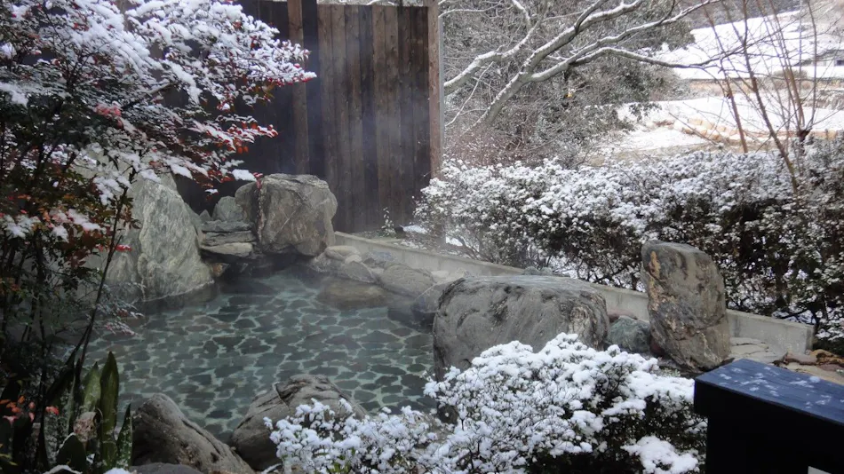 Ryokan & Family Bath Imamura