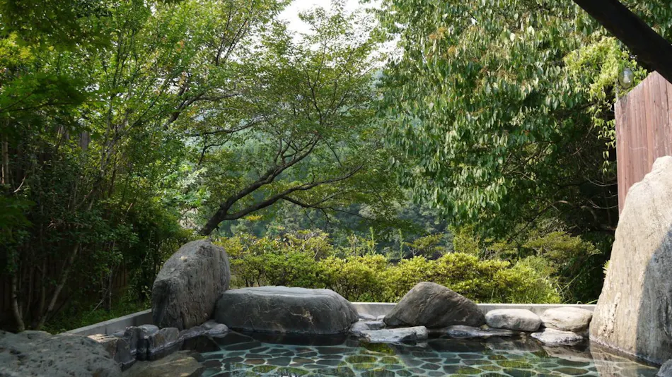 Ryokan & Family Bath Imamura