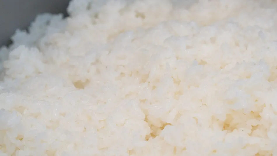 Kani to Katsugyo Ryori no Yado Kaifutei Teradomari Nihonkai