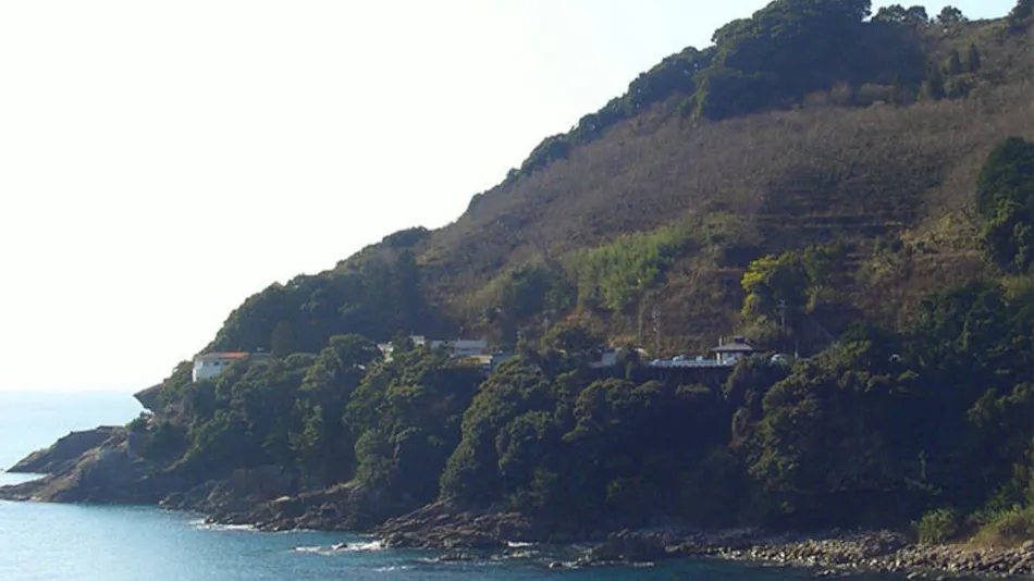 Hotel Nami