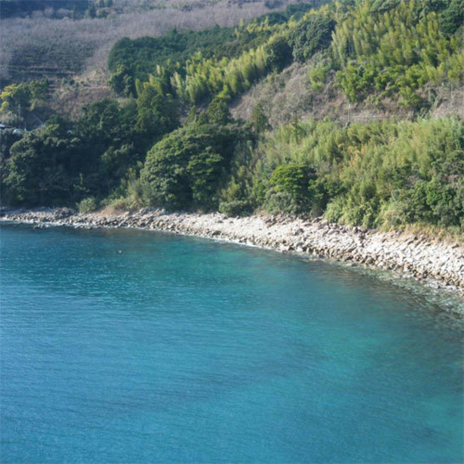 Hotel Nami