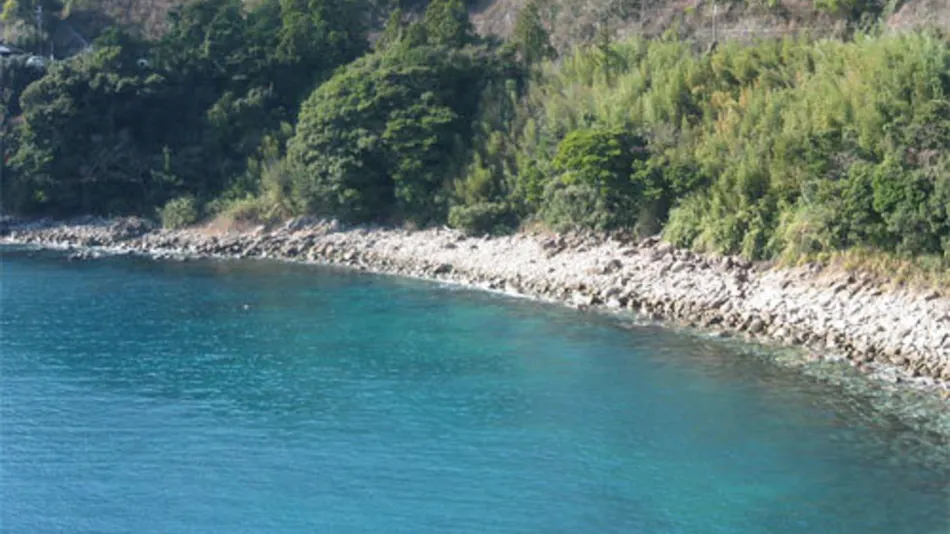 Hotel Nami