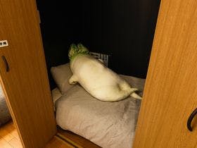 一棟貸し平戸俺んち