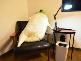 一棟貸し平戸俺んち