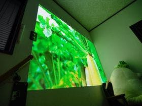 一棟貸し平戸俺んち