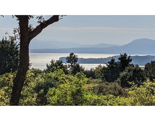 園内駐車場から別府湾を望む