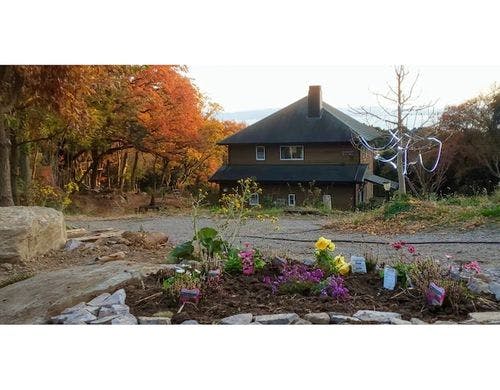 リビングルームからの眺め