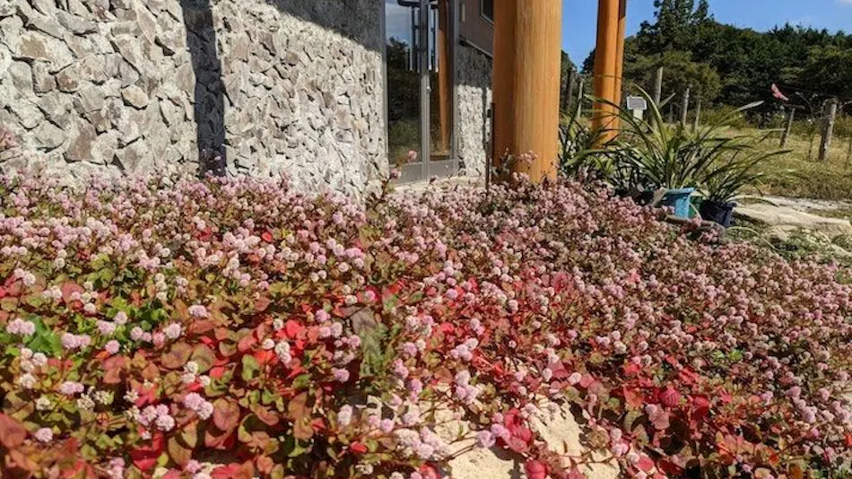 Ecolodge Kitsuki