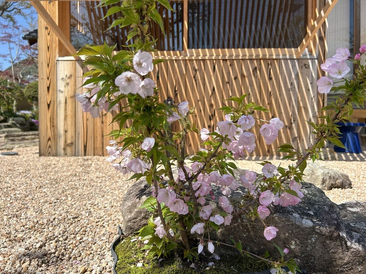 Himeji Castle’s back parlor-like　400-year-old inn ”Tetsu-juro”（former Oguni’s residence)
