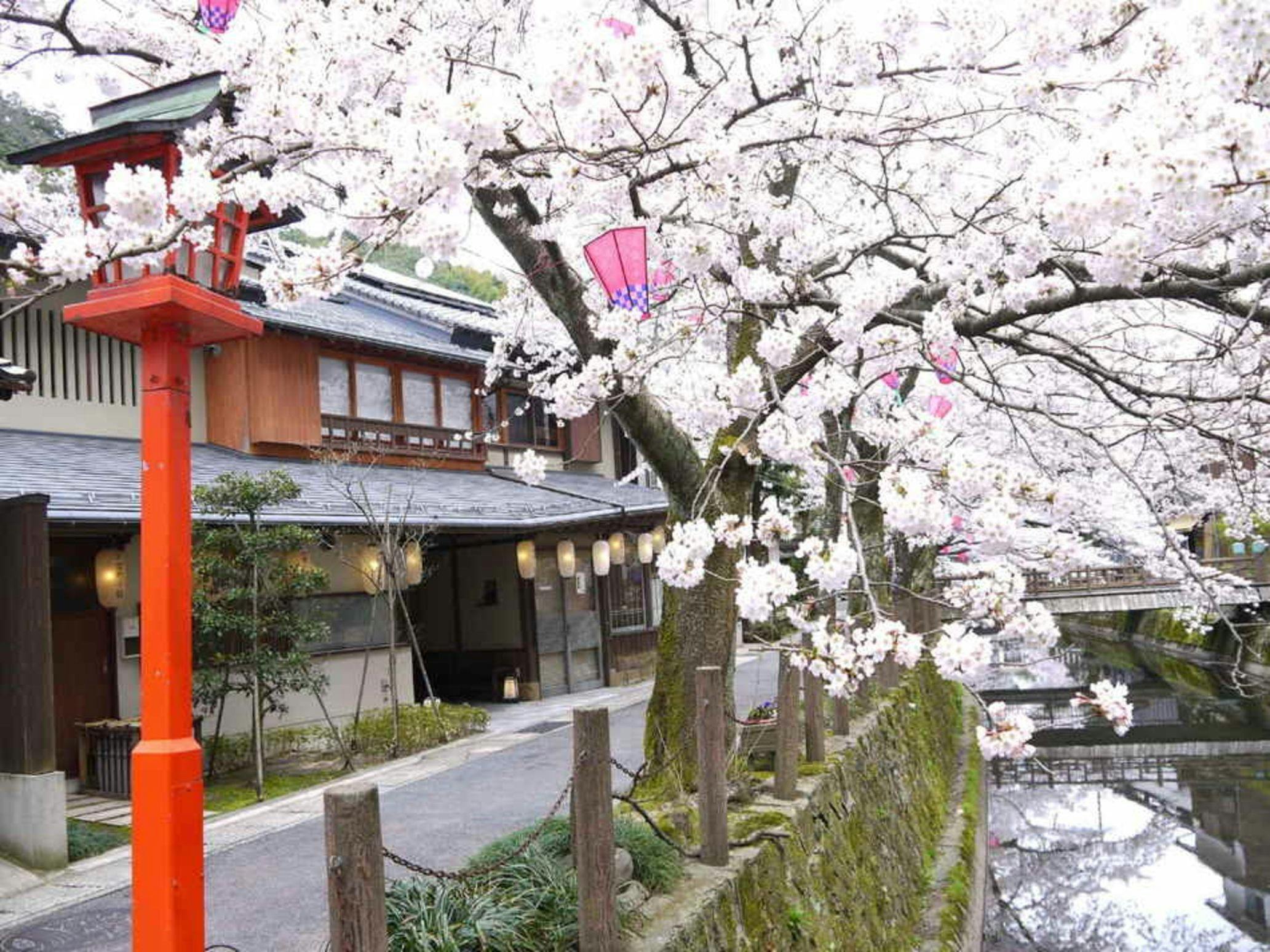 Kinosaki Onsen Tsutaya Ryokan