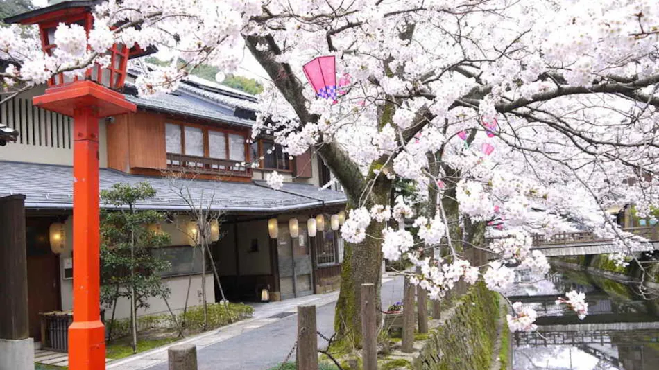 Kinosaki Onsen Tsutaya Ryokan