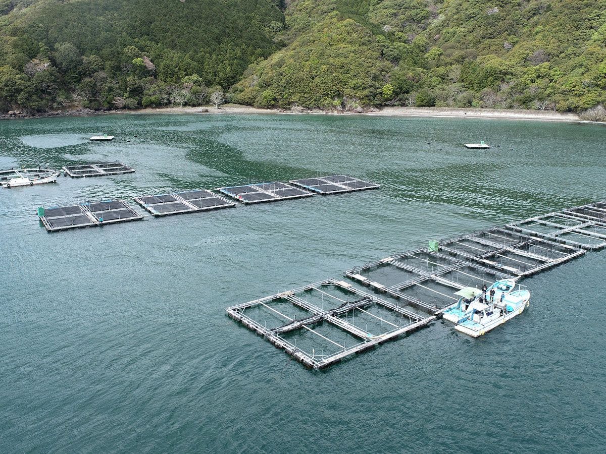 สิ่งอำนวยความสะดวก◆ตกปลาบนแพ