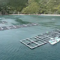 สิ่งอำนวยความสะดวก◆ตกปลาบนแพ